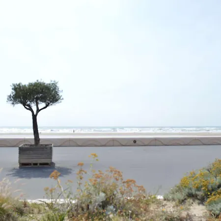 Face A La Mer, Balcon Et Local A Velo, 300m Du Centre - - Fr-1-229b-61